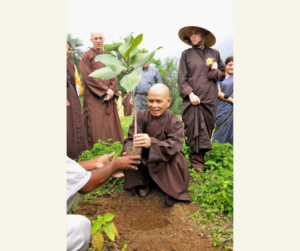 Thich Nhat Hanh planting a tree