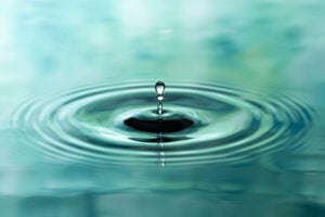 Water drop and ripple