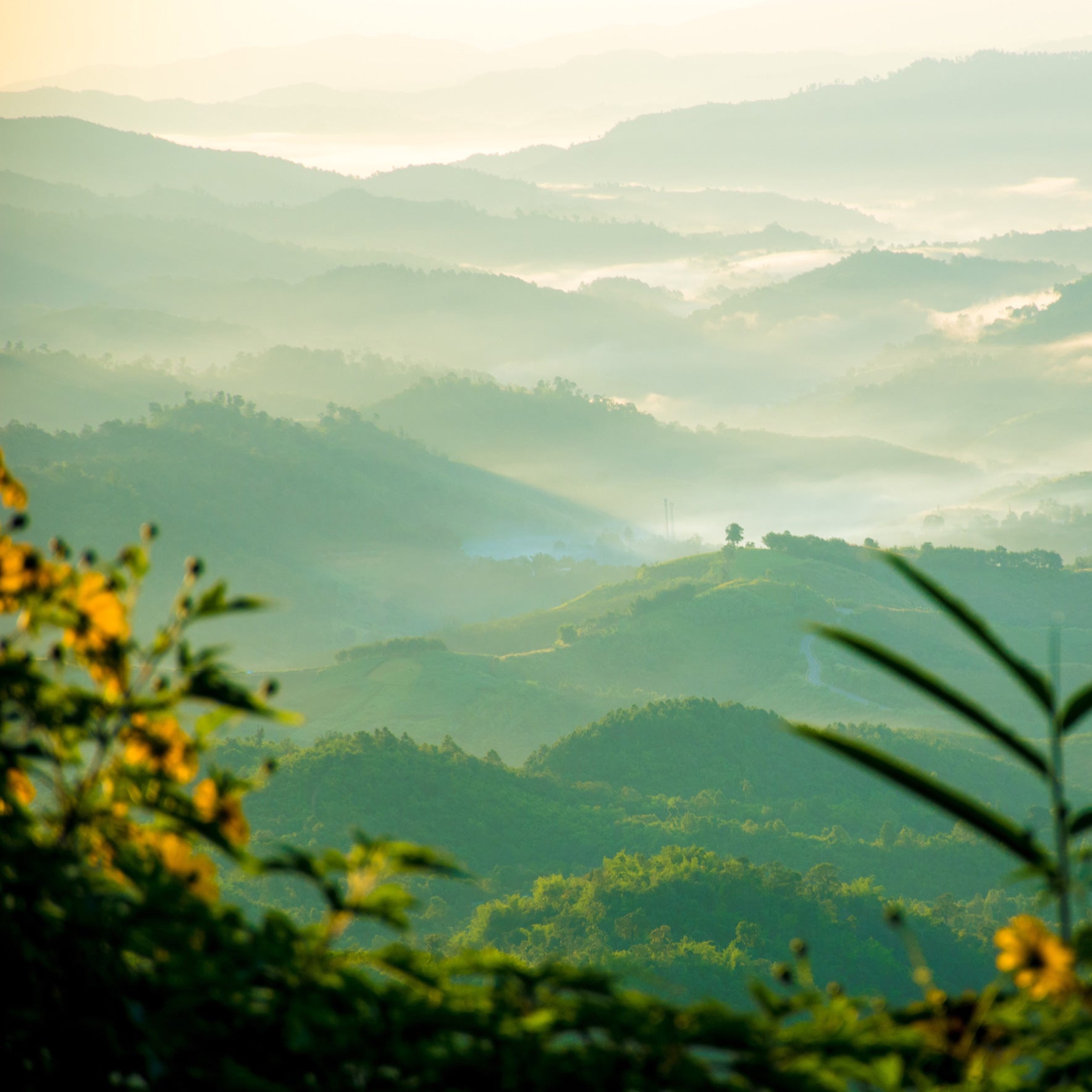 Serene image of mountains