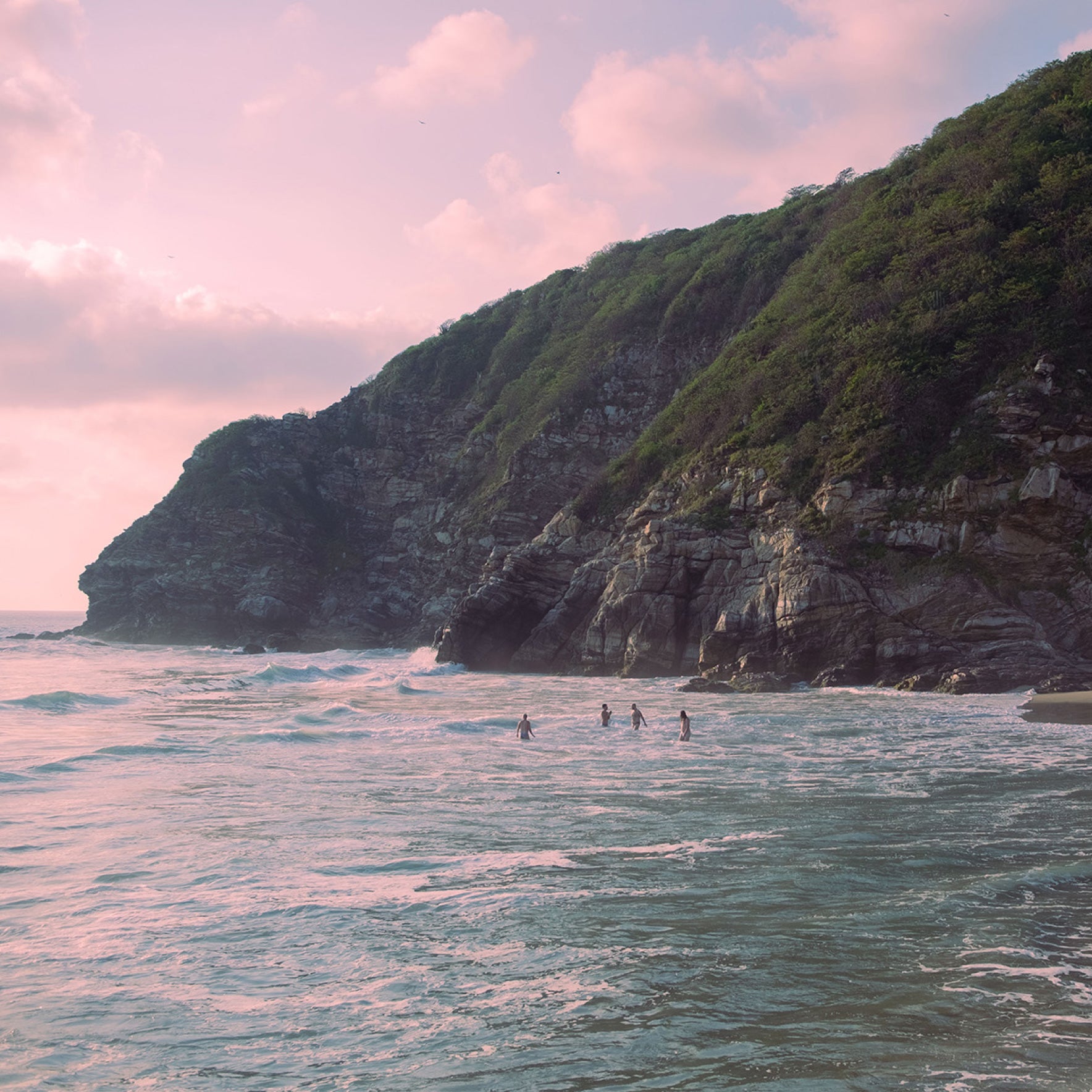 individuals wading into the ocean alongside a steep rocky coastline covered in shrubs